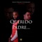 Querido Padre (feat. LR Maickey) artwork