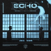 Echo (Extended Mix) artwork