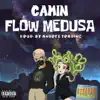 Stream & download Flow Medusa - Single