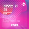 코케 - 비오는 거리 : Originally Performed By 이승훈 (Karaoke Verison)