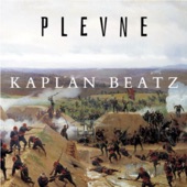Plevne (Remix) artwork