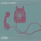 Calling (feat. Leksi) - Ed.1t lyrics