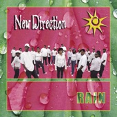 New Direction - Heal The Land