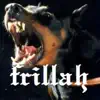 Frillah - Single album lyrics, reviews, download
