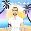 Crazy in Love - Single