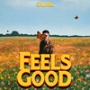 Feels Good - Single