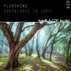 Adventures in Lofi - EP