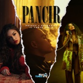 Pancir (feat. Tanja Savic) artwork