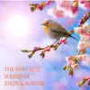 The Very Best Sound of Birds and Nature (With Rain, Forest, Creek, River, Wind, Thunder) album lyrics, reviews, download