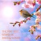 Amazing Solo of a Nightingale (Nachtigall) - Life Sounds Nature lyrics