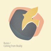 Coming from Reality artwork