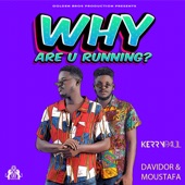 Why Are You Running? (feat. Kerry Paul) artwork