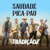 Saudade Pica-Pau - Single