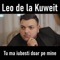 Ce Faci Cand Ai Rana In Piept (feat. B.Piticu) - Leo de la Kuweit lyrics