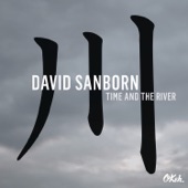David Sanborn - Can't Get Next to You