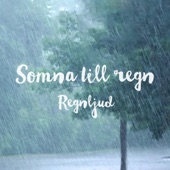 Somna till regn artwork