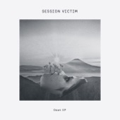 Session Victim feat. Nebraska - Dawn