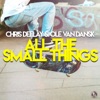 All the Small Things - Single