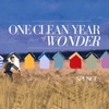 One Clean Year of Wonder - Single