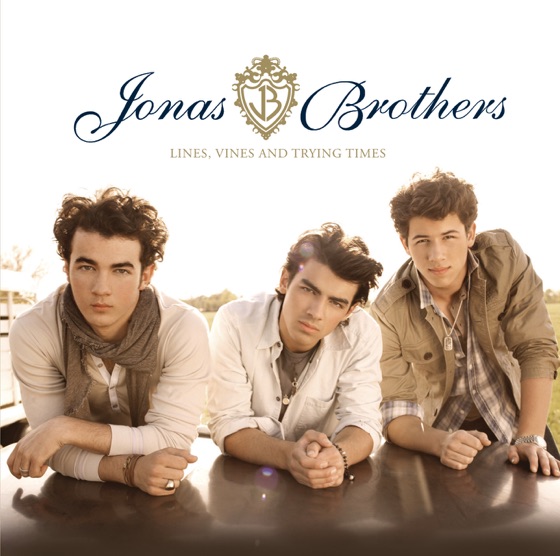 Cover artwork for What Did I Do To Your Heart