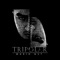 TRIPOLAR - Mario NS7 lyrics