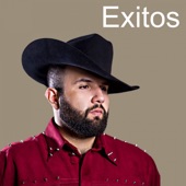 Exitos artwork