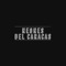Neones del Caracas (feat. Willie DeVille) - Chuchú bermudas lyrics