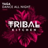 Dance All Night - Single