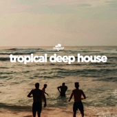 Southbeat Pres: Tropical Deep House artwork