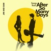 Songs from After So Many Days artwork