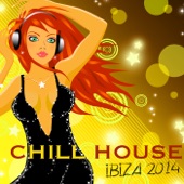 Chill House Ibiza 2014 Erotic Chillout Lounge at Rio del Mar artwork