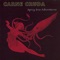 The Squid - Carne Cruda lyrics