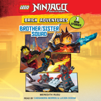 Meredith Rusu - LEGO Ninjago: Brick Adventures #1: Brother/Sister Squad artwork