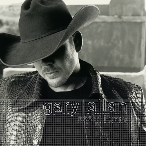 Art for Nothing On But The Radio by Gary Allan