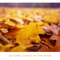Autumn Leaves in the Wind (feat. Chriss Aum) - Guided Meditation Music Zone lyrics
