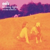 Eels - From Which I Came / A Magic World