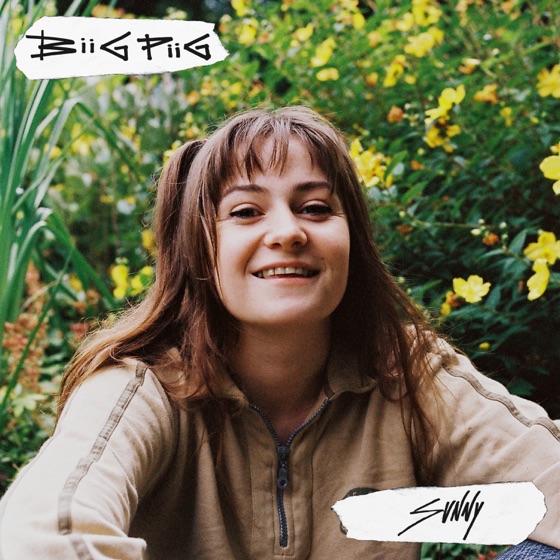 Cover artwork for Sunny