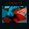 Common - Industria del Amor, Lil Rob & Luny Tunes lyrics