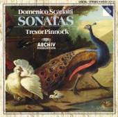 Sonata in D Minor, K. 517 artwork