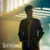 Ternyata (From "Single Terlalu Lama") - Single