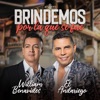 Brindemos Por La Que Se Fue - Single