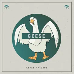 Geese - Single by Keyze AriZona album reviews, ratings, credits