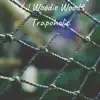 Stream & download Trapoholic