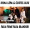 Fara Firme, Fara Branduri (feat. Costel Biju) - Irina Lepa lyrics