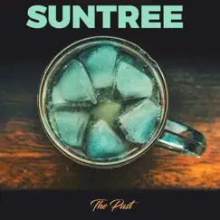 The Past by Suntree album reviews, ratings, credits