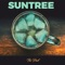 Human Eye - Suntree lyrics