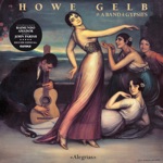 Howe Gelb & A Band of Gypsies - Broken Bird and the Ghost River