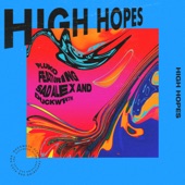 pluko - High Hopes