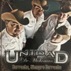 Unidad De Michoacan - Piquetes De Hormiga