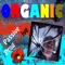 A Prayer - Organic lyrics
